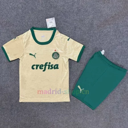 Camiseta de Portero España 2024 Niño Verde