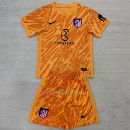 Sudaderas Con Capucha Inter de Milan 2024-25 Kit Azul