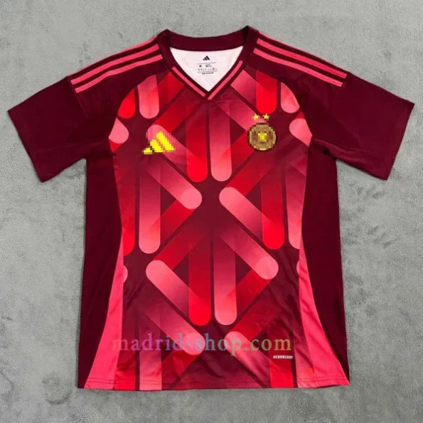 Camiseta Alemania Segunda Equipación Euro Femenina 2025