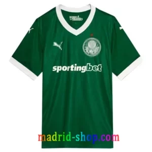 Camisetas Palmeiras