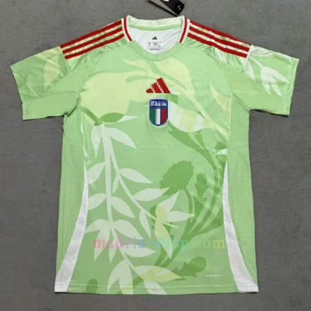 Camiseta Alemania Segunda Equipación Euro Femenina 2025