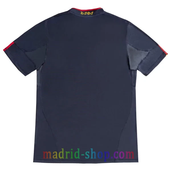 Camiseta España Segunda Equipación 2010 Camiseta España Segunda Equipación 2010 - Imagen 2