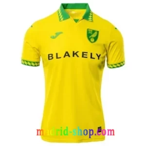 Camisetas Norwich City